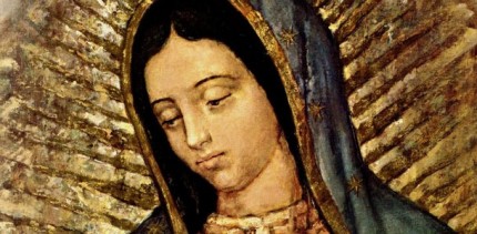 Our-lady-of-Guadalupe-430x211.jpg