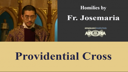 Providential Cross – Apr 05 – Homily – Fr Josemaria